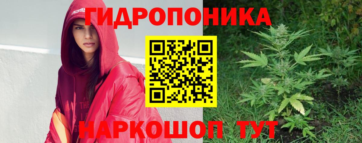 Шишки марихуана план  Вход с VPN  Марихуана OG Kush  Нерюнгри  Канабис ГИДРОПОН  Марихуана MAZAR 